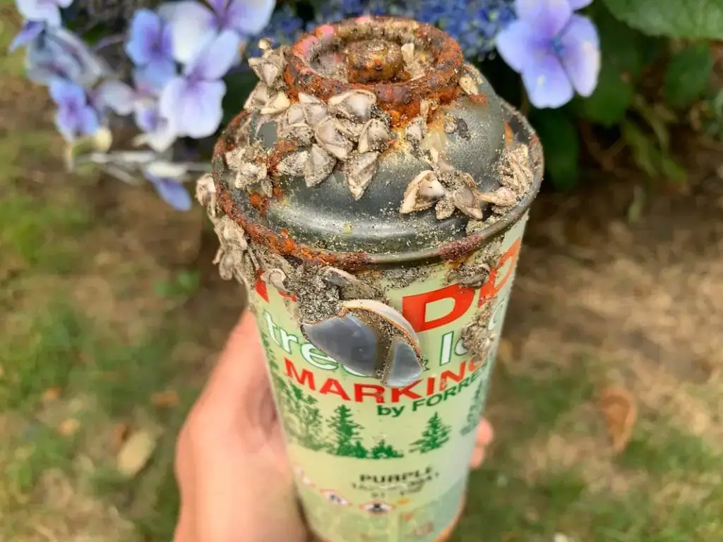 paint-can-found-floating-in-the-ocean_orig • Environmental Nonprofit Organization paint can found floating in the ocean