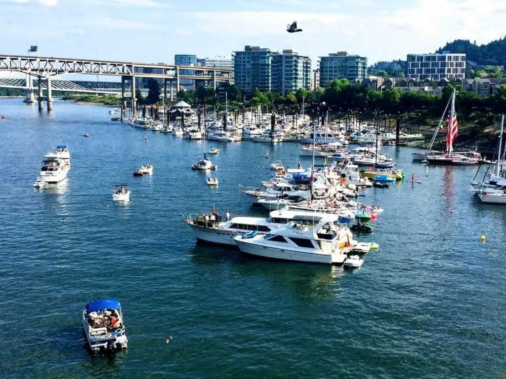 How-did-tear-gas-become-a-major-pollutant-in-the-Portland-river-1 • Environmental Nonprofit Organization