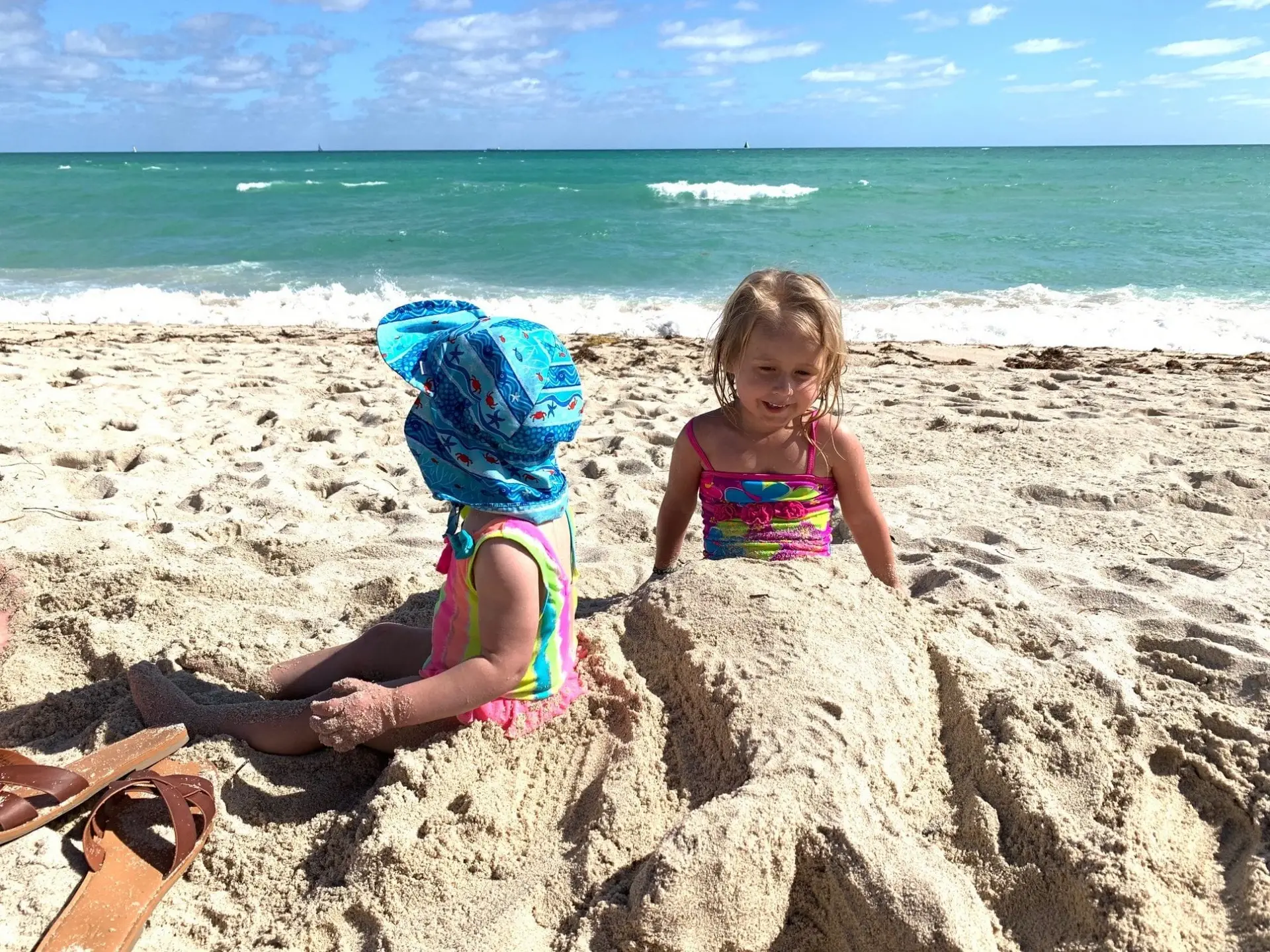 save-our-seas-act • Environmental Nonprofit Organization save-our-seas-act