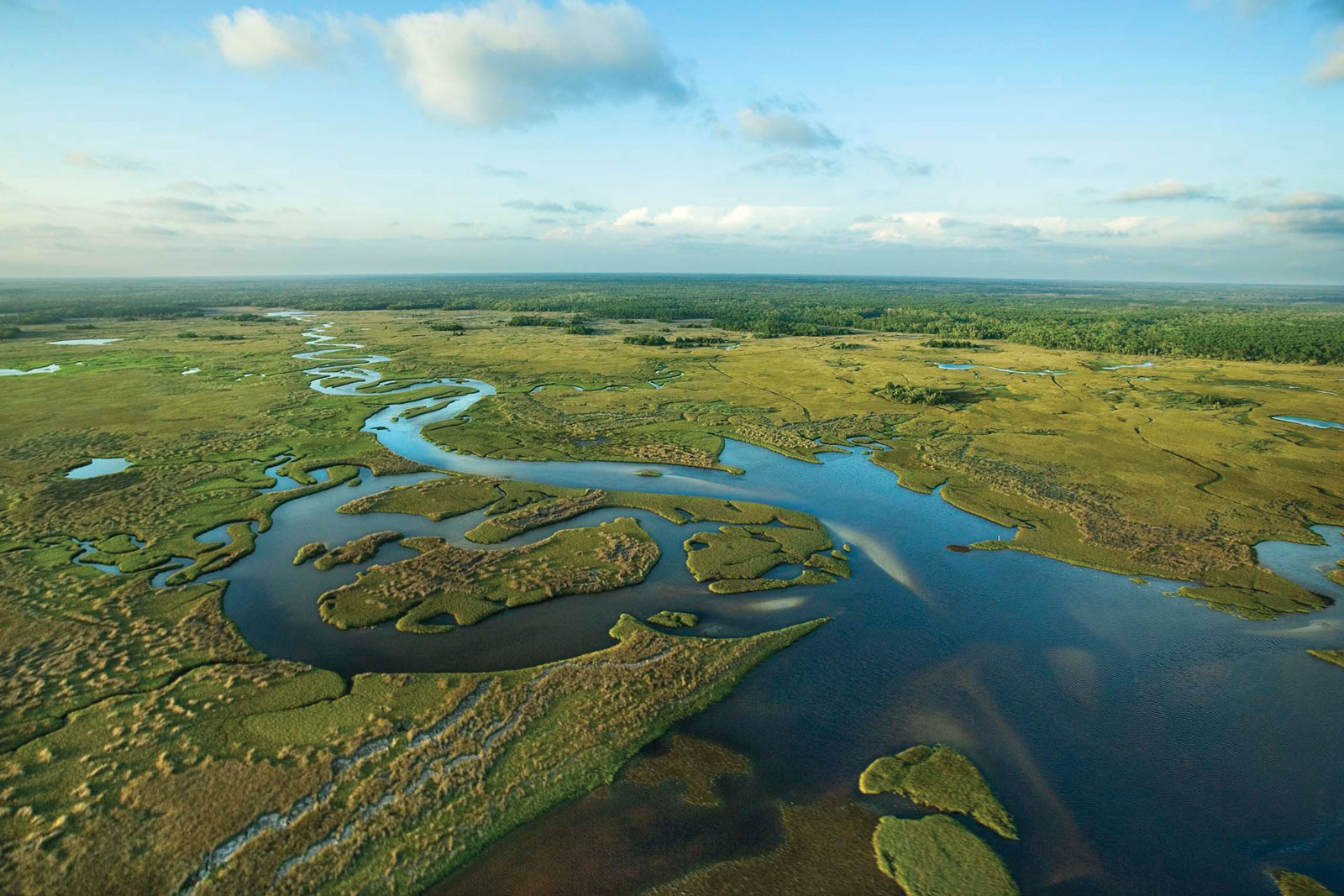 Everglades-National-Park-Florida • Environmental Nonprofit Organization Everglades-National-Park-Florida.jpg