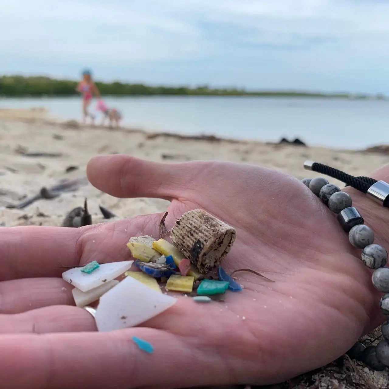 microplastic-found-in-florida