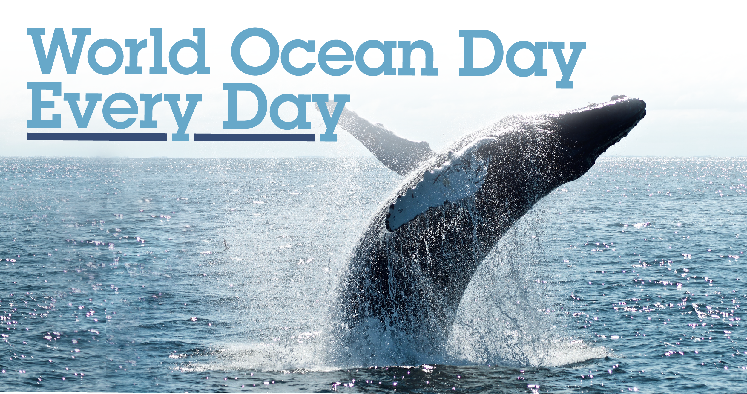 World Ocean Day 22 Environmental Nonprofit Organization