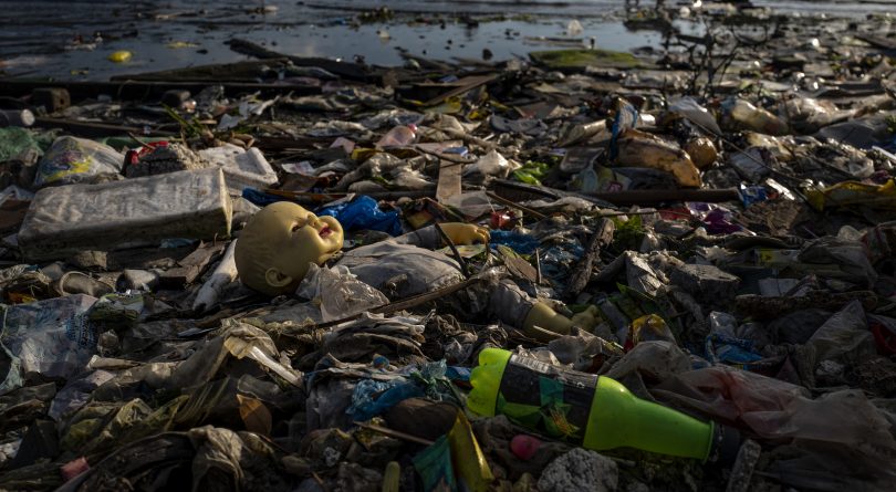 mariana-trench-plastic-bag-deepest-point.jpg