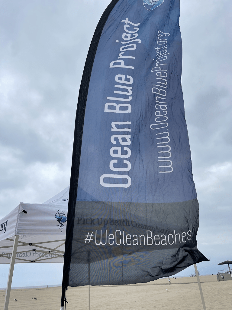 image • Environmental Nonprofit Organization flag-movie-ocean-blue-boxed-water-Venice-beach