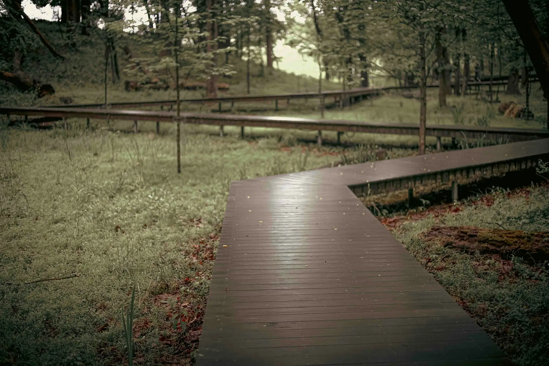 Glenstone Museum, Glen Road, Potomac, MD, USA