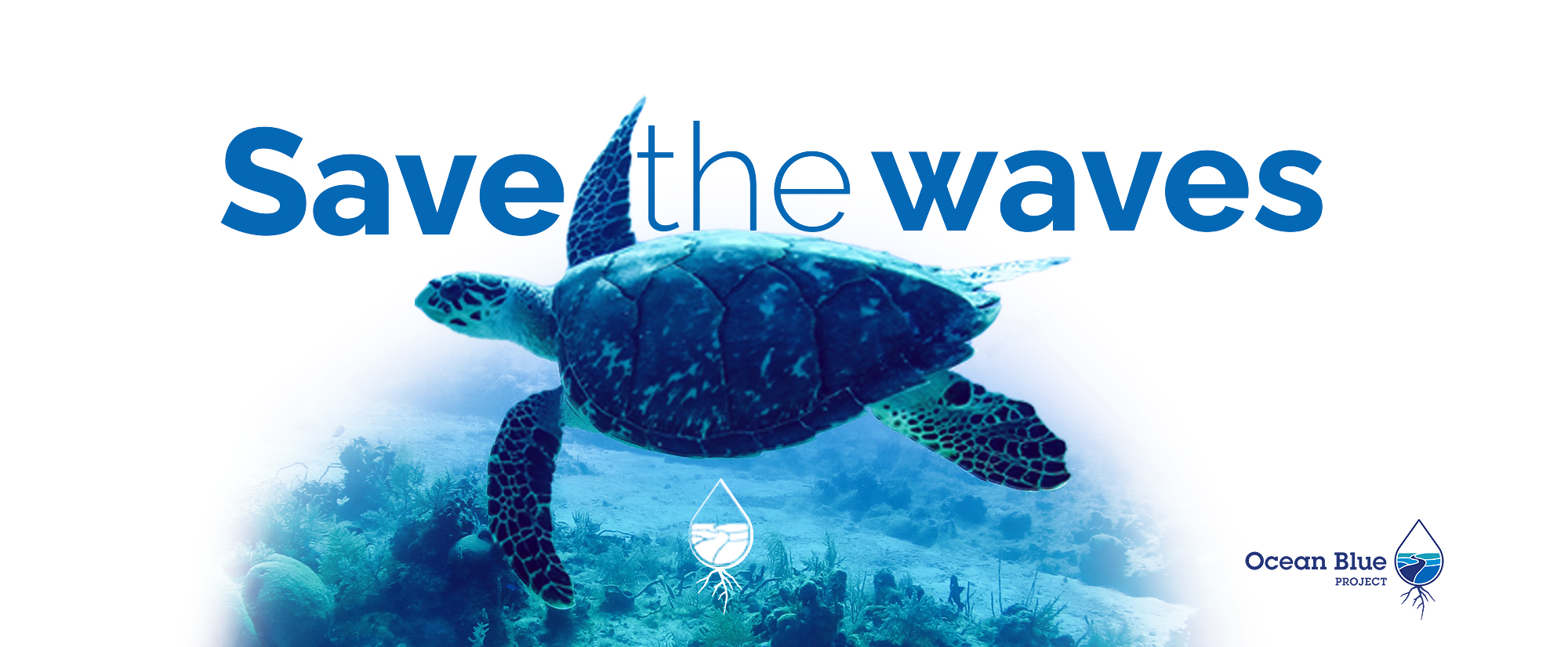 Save the Waves Campaign Banner